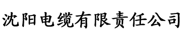 拍拍免费香蕉视频电缆厂logo